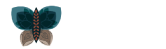 Lymphedema Foundation of South Florida 