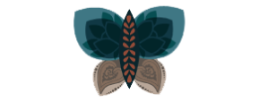 Lymphedema Foundation of South Florida 
